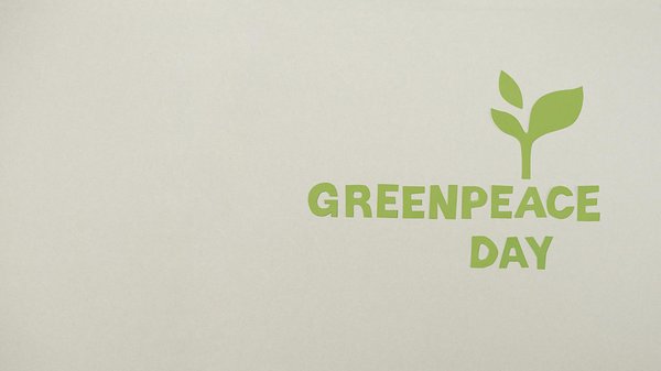 Pianos schimmel : tradition, qualité et choix pour tous